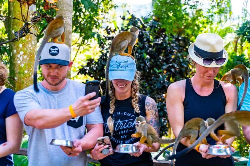 From Punta Cana: Jungle Buggy Ride & Monkeyland Guided Tour - A Practical Guide to the Tour