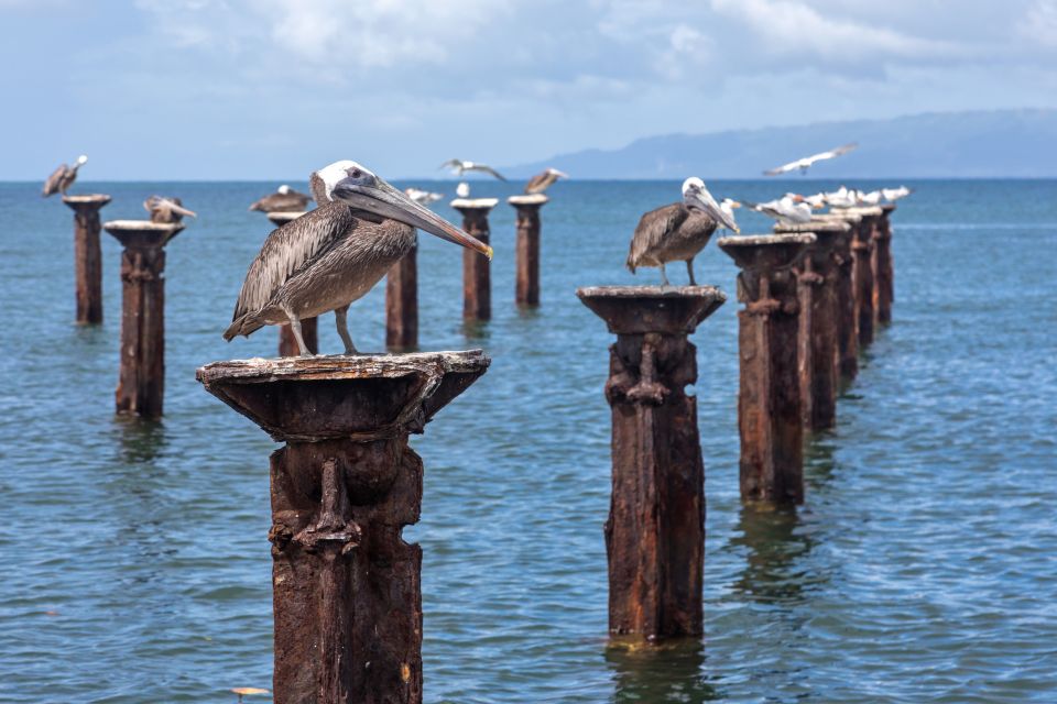 From Punta Cana: Los Haitises and Redonda Mountain Day Trip - Key Activities