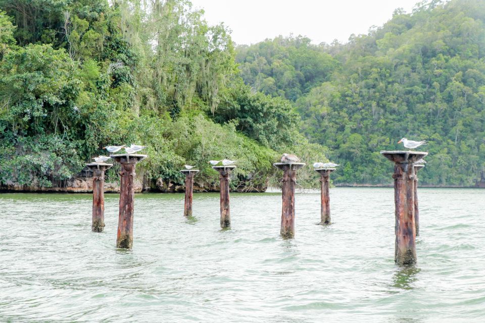 From Punta Cana: Los Haitises and Redonda Mountain Day Trip - Panoramic Views