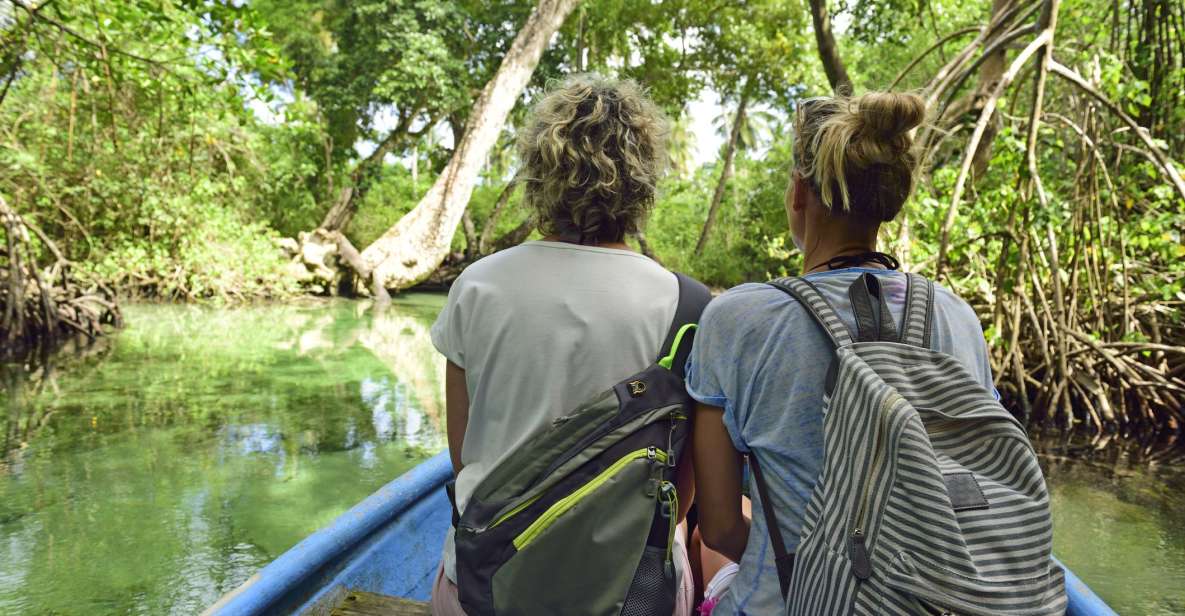 From Punta Cana: Los Haitises & Caño Hondo Private Boat Tour - Activities Included