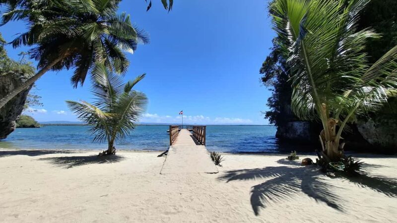 From Punta Cana: Los Haitises Tour: Mangroves, Caves + Round Mountain - Final Thoughts