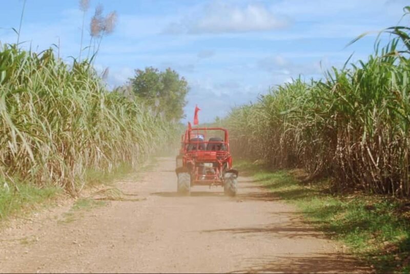 From Punta Cana or La Romana: Sugarcane Fields Buggy or Quad - Exploring the Tour Itinerary: What to Expect from Start to Finish