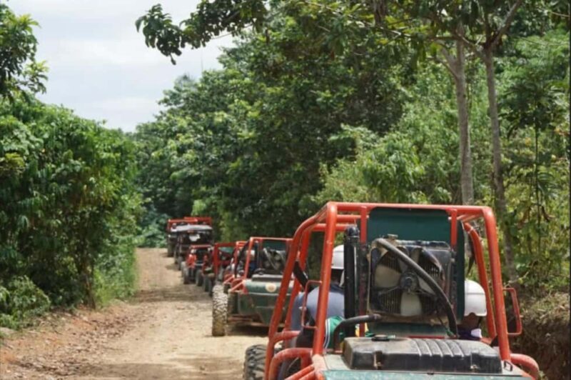 From Punta Cana or La Romana: Sugarcane Fields Buggy or Quad - The Practical Side: What You Need to Know