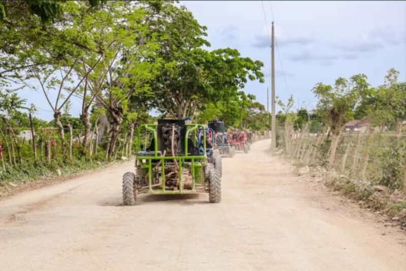 From Punta Cana or La Romana: Sugarcane Fields Buggy or Quad - Final Thoughts: Who Will Love This Tour?