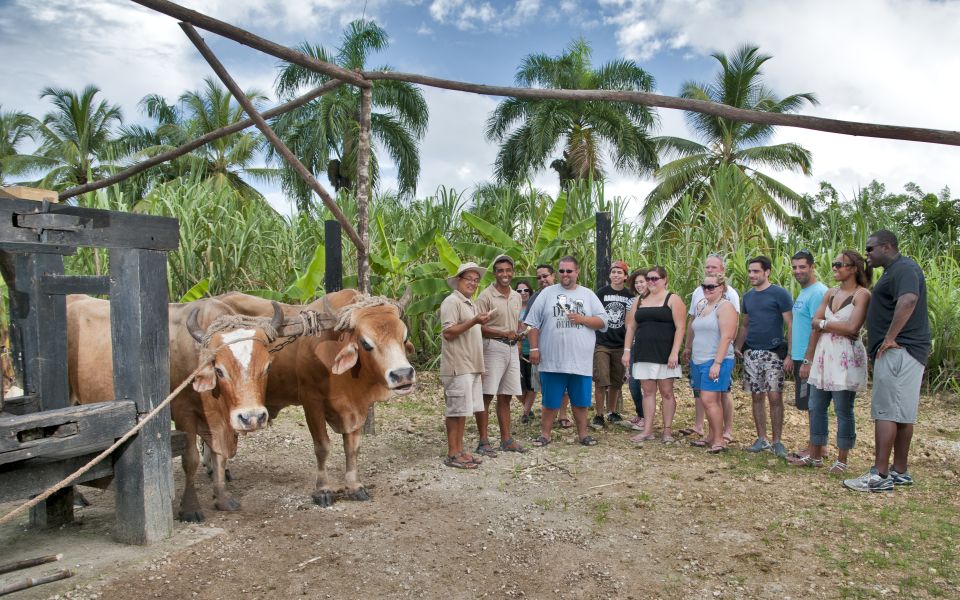 From Punta Cana: Safari Traditional Tour With Lunch - Highlights