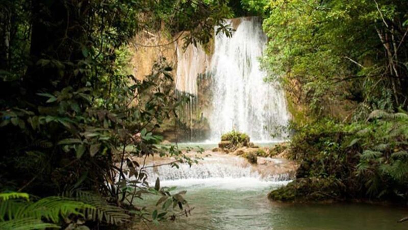 From Punta Cana: Samana and Bacardi Island Cruise and Tour - Who Will Enjoy This Tour?