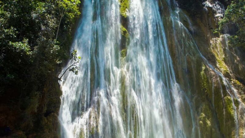 From Punta Cana: Samana Full Day Trip by Bus and Boat - What Makes This Tour Stand Out?