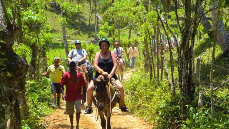 From Punta Cana: Samaná Whale Watching & Bacardi Island Tour - Tips for Making the Most of This Tour