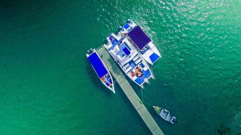 From Punta Cana: Samaná Whale Watching & Bacardi Island Tour - Final Thoughts