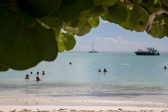 From Punta Cana: Saona Island & Altos de Chavon Day Trip with Lunch and Open Bar - The Sum Up