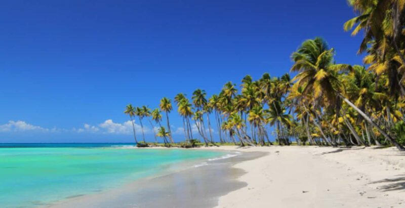 From Punta Cana: Saona Island Boat Trip with Buffet - Key Points