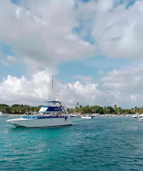 From Punta Cana: Saona Island Boat Trip with Buffet - Exploring the Itinerary and What to Expect