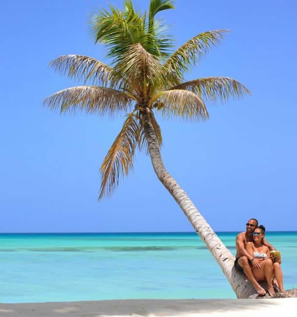 From Punta Cana: Saona Island Boat Trip with Buffet - Who Should Consider This Tour?