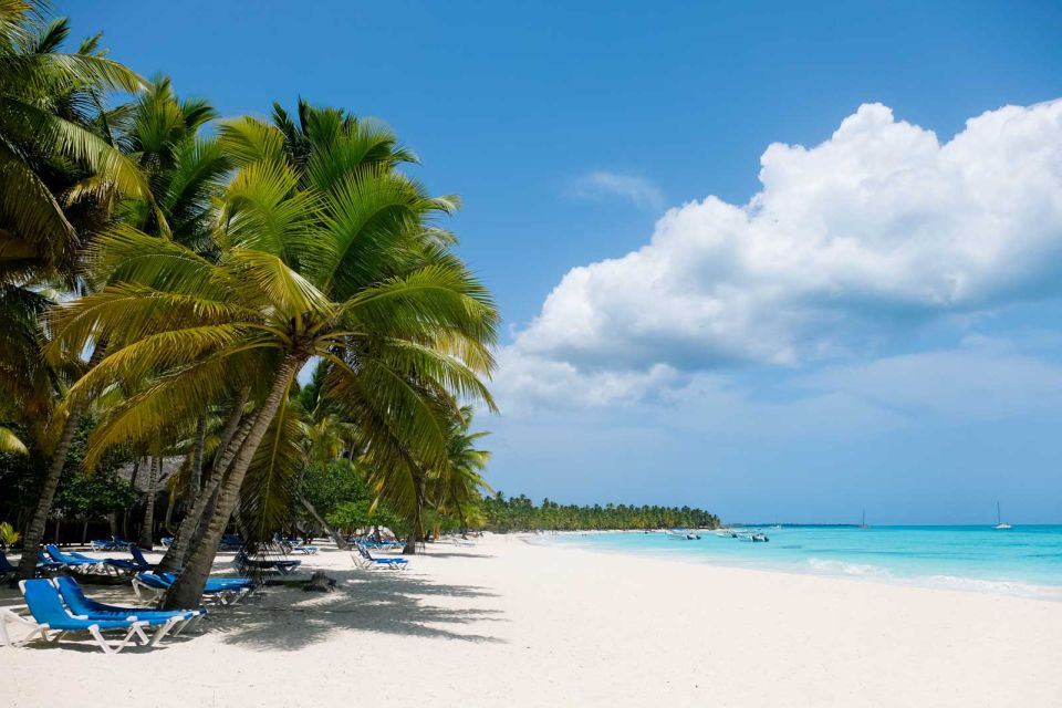 From Punta Cana: Saona Island Catamaran Tour W/ Buffet Lunch - Pricing and Booking