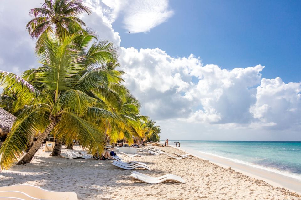From Punta Cana: Saona Island Cruise With Private Beach - Key Points