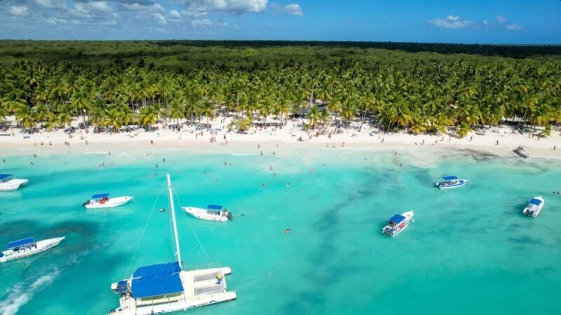 From Punta Cana: Saona Island Day Trip with Buffet Lunch - What Makes This Tour Stand Out?