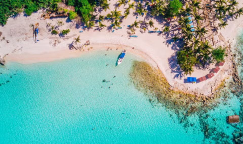 From Punta Cana: Saona Island Full Day Tour W/ Food & Drinks - Included Activities and Highlights