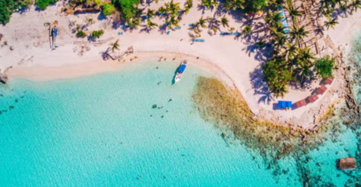 From Punta Cana: Saona Island Full Day Tour W/ Food & Drinks - Beach Relaxation and Swimming