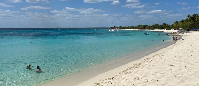 From Punta Cana: Saona Island Full-Day Tour with Lunch - The Natural Swimming Pool: A Photo-Ready Highlight