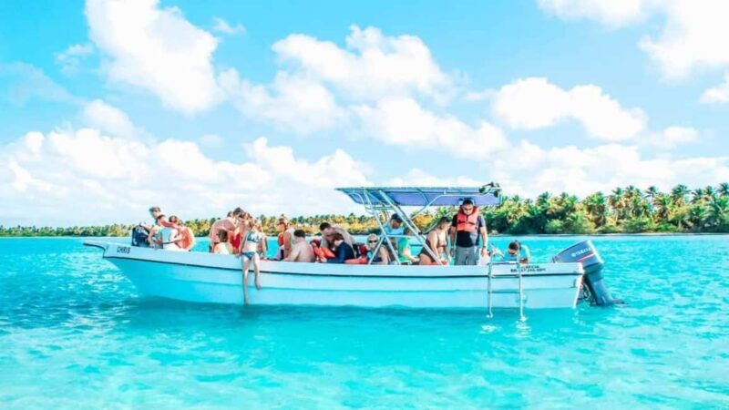 From Punta Cana: Saona Island Tour with BBQ Lunch - Setting the Scene: What to Expect on the Tour