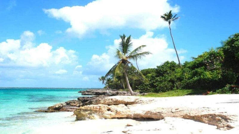 From Punta Cana: Saona Island Tour with BBQ Lunch - The Sum Up: Is This Tour Worth It?