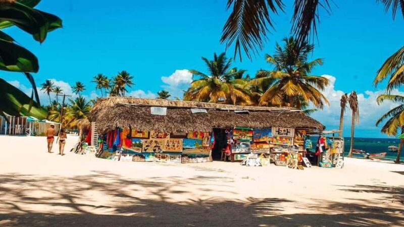 From Punta Cana: Saona Island Tour with BBQ Lunch - FAQ