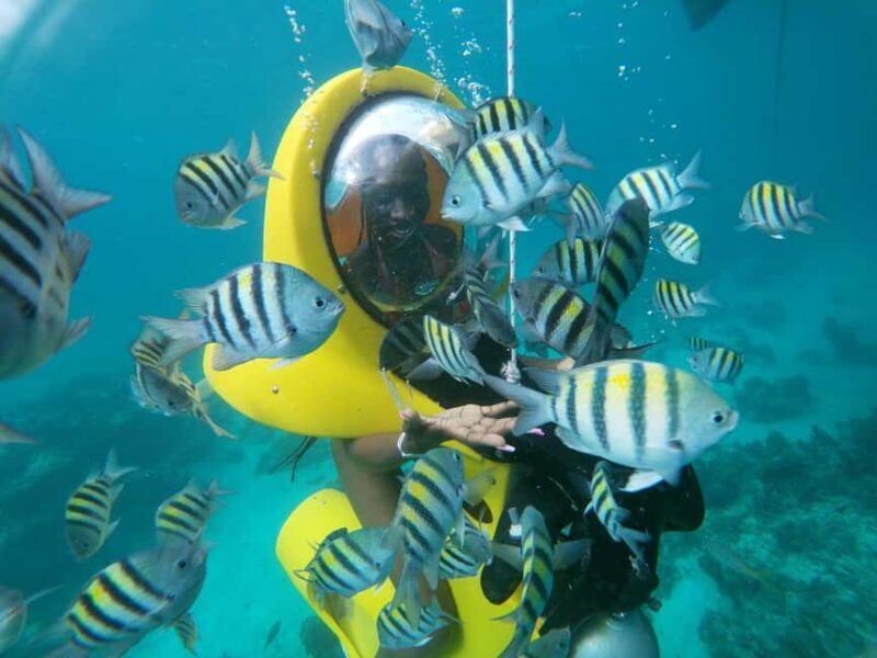 From Punta Cana: ScubaDoo, Snorkel & Glass Bottom Boat Tour - Overview of the Tour Experience