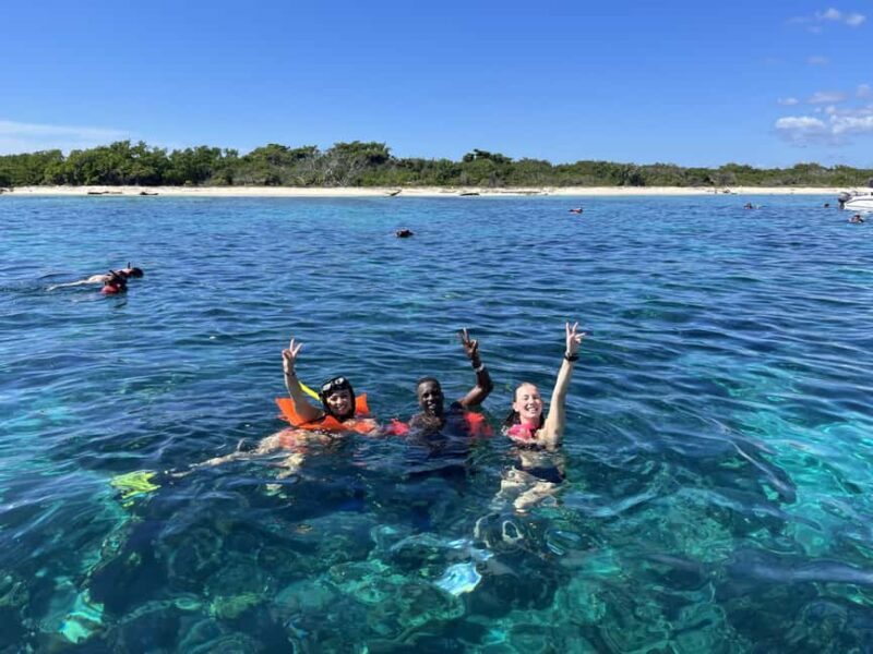 From Punta Cana: Small Group Catalina Island Snorkeling Tour - What Travelers Say: Authentic Experiences and Highlights