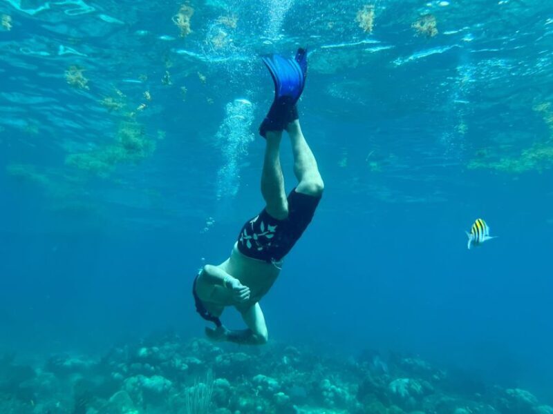 From Punta Cana: Small Group Catalina Island Snorkeling Tour - Who Should Consider This Tour?