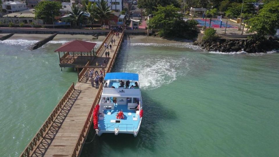 From Punta Cana: Whale Watching and Montana Redonda Tour - Frequently Asked Questions
