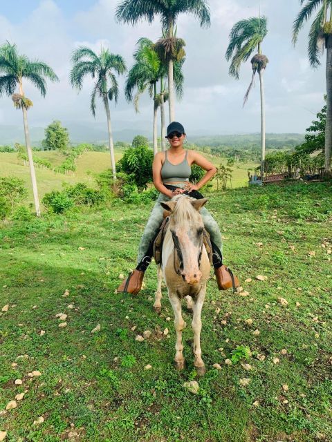 From Punta Cana: Zafary City Tour Half Day + Cathedral + Buffet - Key Points