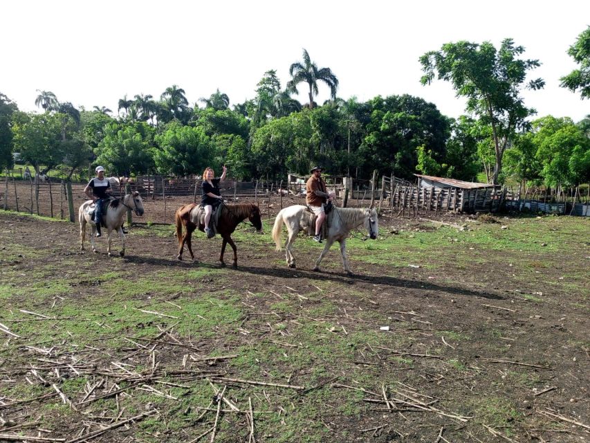 From Punta Cana: Zafary City Tour Half Day + Cathedral + Buffet - Museum of Altagracia