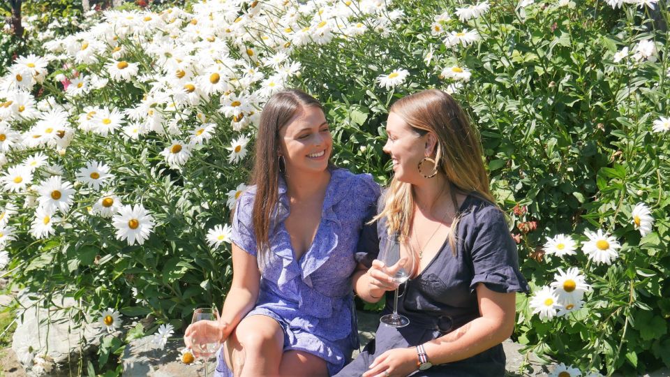 From Queenstown: 4-Hour Afternoon Boutique Wine Tour - Booking and Cancellation Policy