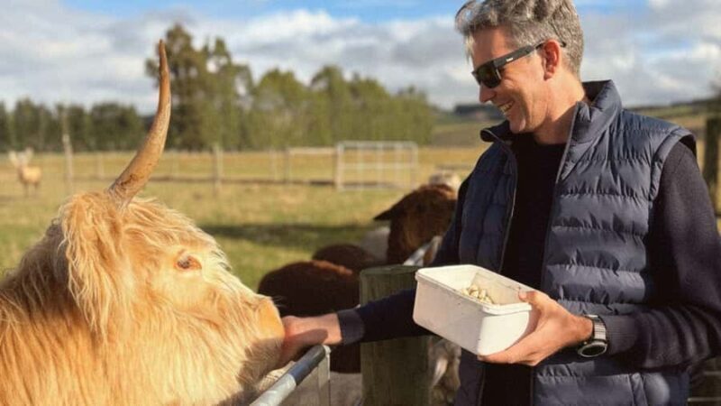 From Queenstown: Coach, Farm Tour & Milford Nature Cruise - The Farm Visit in Te Anau