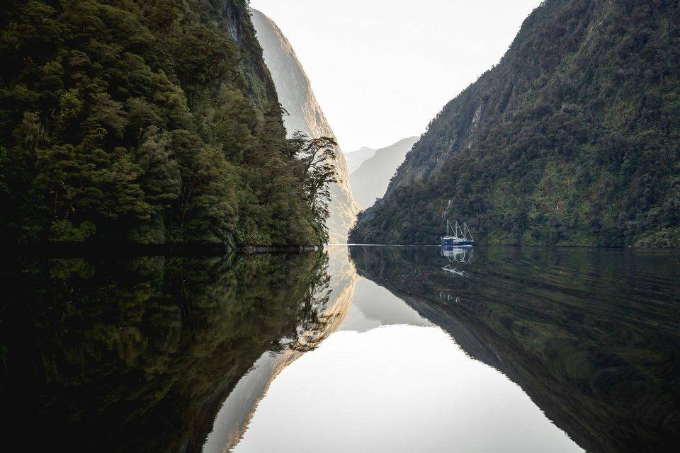 From Queenstown: Doubtful Sound Wilderness Day Trip - Key Points