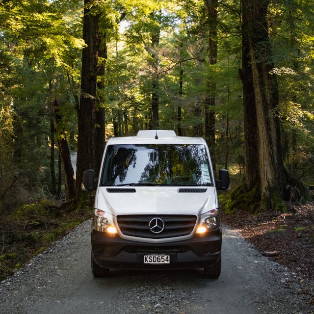 From Queenstown: Glenorchy and Paradise Scenic Half-Day Tour - Experience Insights