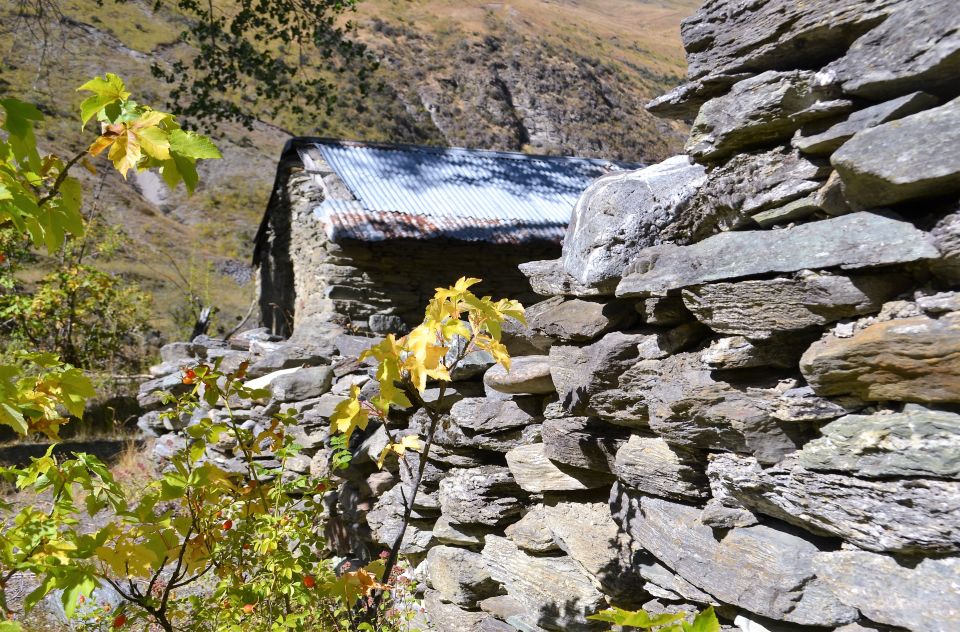 From Queenstown: Gold Panning Day-Trip With Morning Tea - Highlights