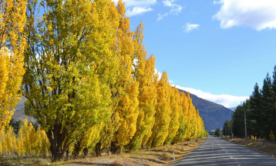 From Queenstown: Gold Panning Day-Trip With Morning Tea - Stops