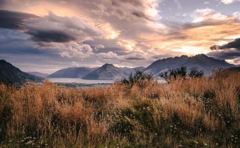 From Queenstown - Half Day Personalised Photography Tour - Authentic Experiences and Traveler Feedback