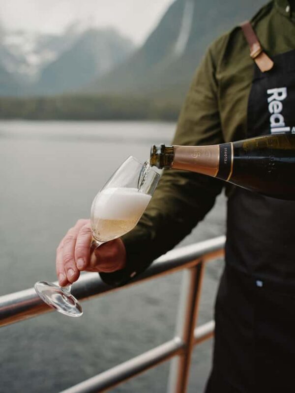 From Queenstown: Milford Sound Business Class with Cruise - The Sum Up