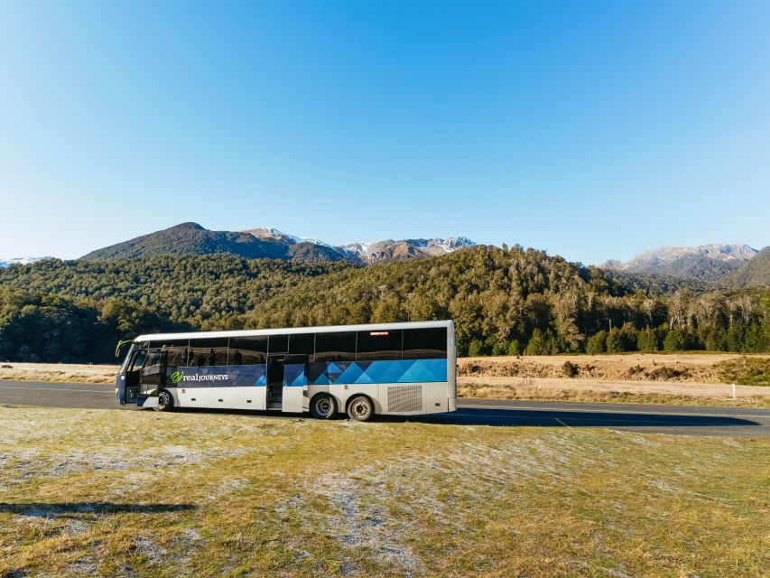 From Queenstown: Milford Sound Cruise and Coach Day Trip - Key Points