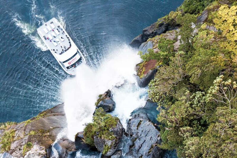 From Queenstown: Milford Sound Day Trip on Premium Coach - A Complete Guide to the Milford Sound Day Trip from Queenstown