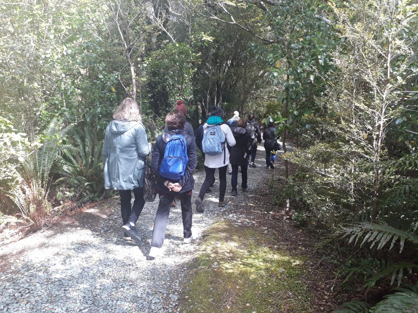From Queenstown: Milford Sound Flight and Boat Cruise - Key Points