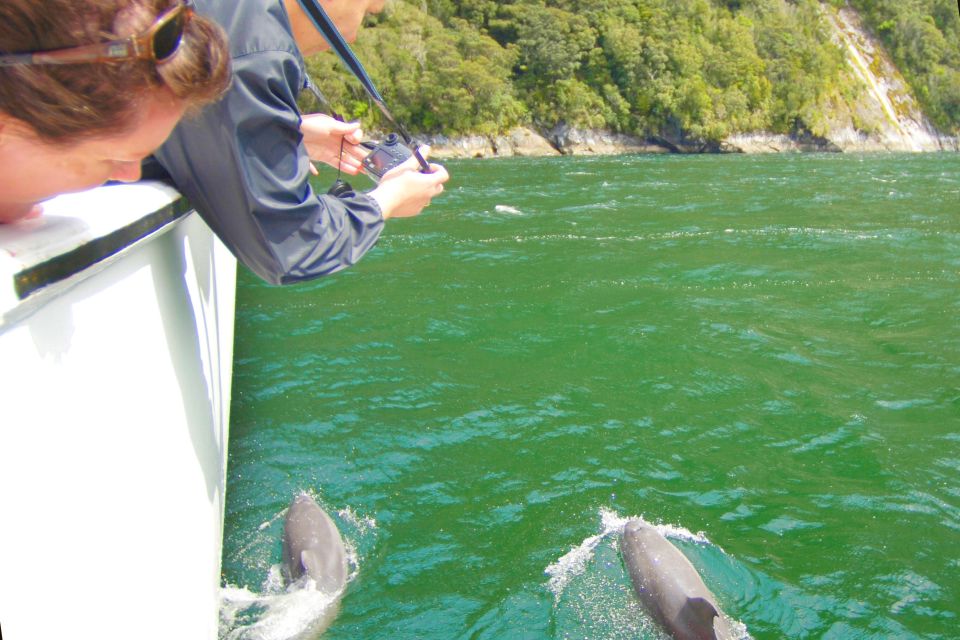 From Queenstown: Milford Sound Flight and Boat Cruise - Price and Duration