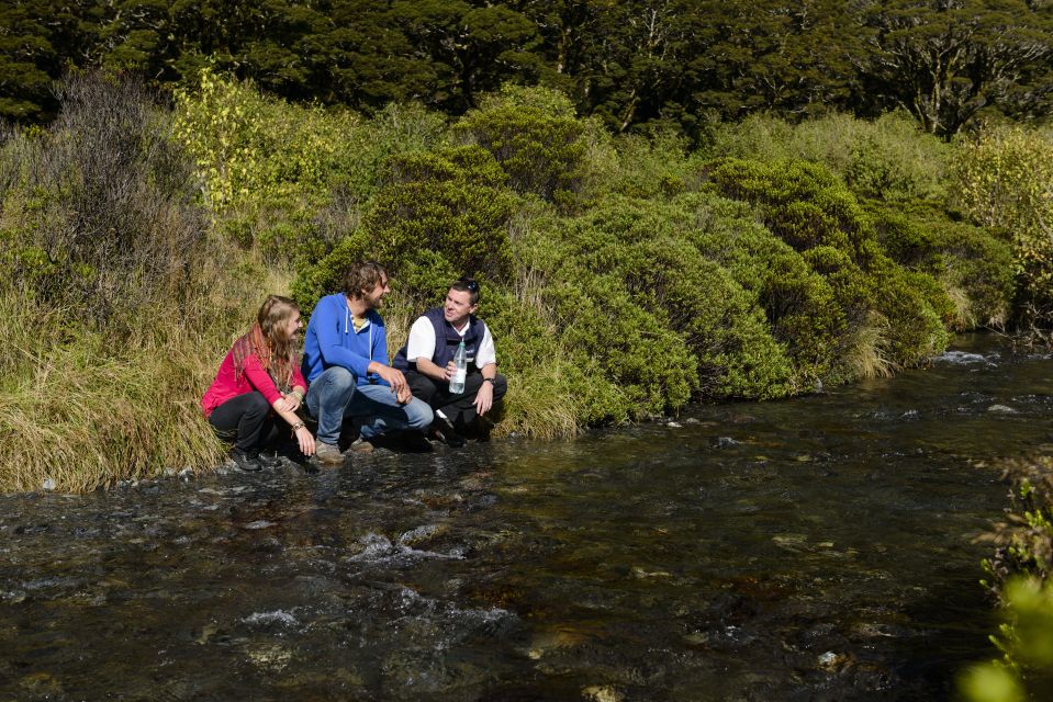 From Queenstown: Milford Sound Full-Day Tour With Lunch - Itinerary Highlights