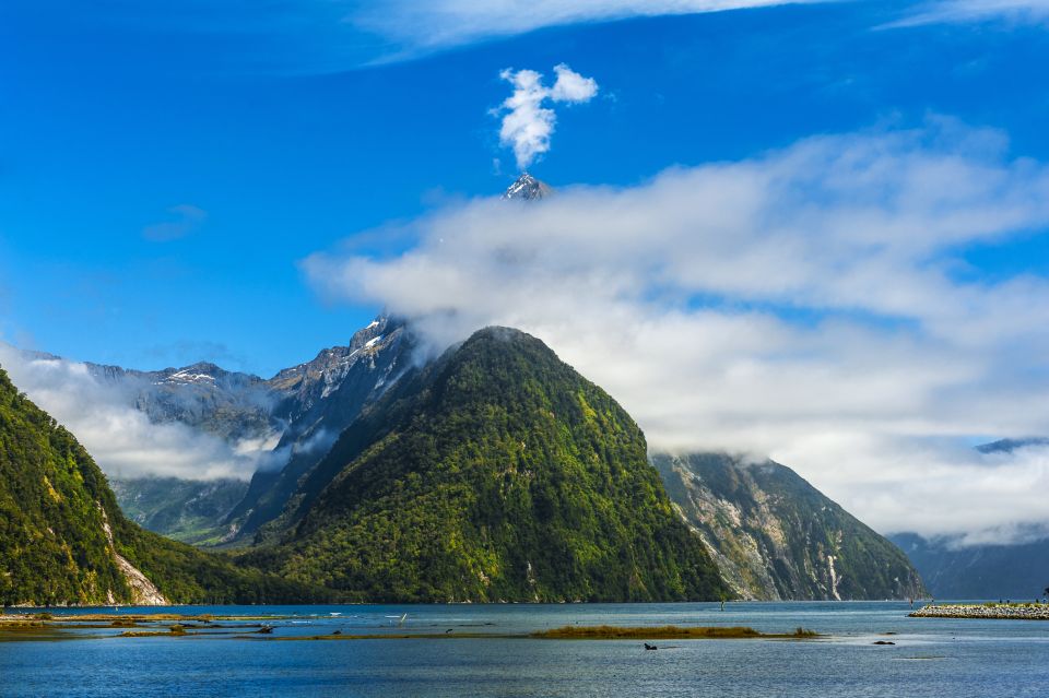 From Queenstown: Milford Sound Full-Day Tour With Lunch - Experience Features