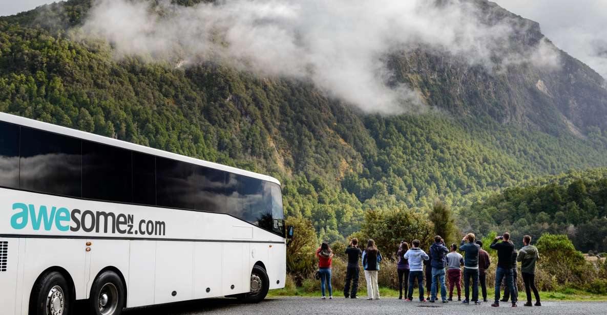 From Queenstown: Milford Sound Full-Day Tour With Lunch - Customer Reviews