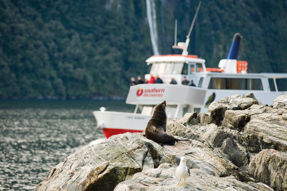 From Queenstown: Milford Sound, Observatory & Cruise W Lunch - Safety and Special Considerations