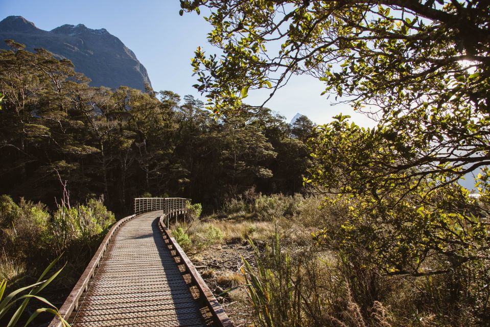 From Queenstown: Milford Sound Scenic Flight & Nature Tour - Frequently Asked Questions