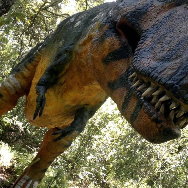 From Querétaro Bioparque Estrella - Feeding the Giraffes and Ostriches